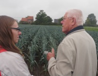 prei in rechte rijen